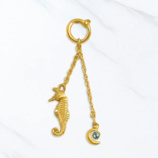 Bijoux-de-bikini-reve-d-hipocampe-bijoux-acier-inoxydable-vetv-jewelry-martinique3 Bijoux-de-bikini-reve-d-hipocampe-bijoux-acier-inoxydable-vetv-jewelry-martinique3